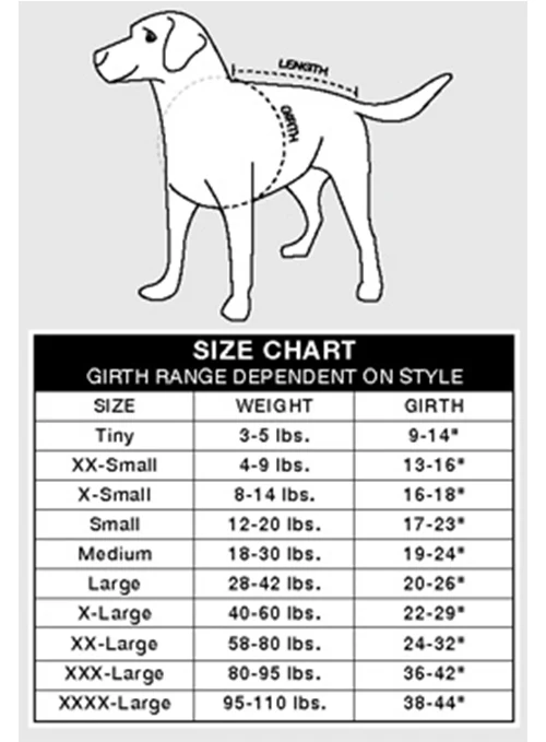 All Star Dogs Statement Edition Milwaukee Bucks Pet Jersey - Image 3