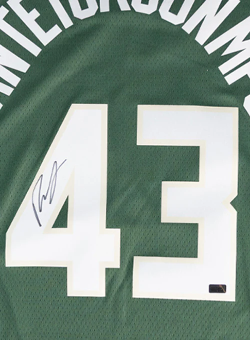 Signed Nike 2022 Icon Edition Thanasis Antetokounmpo Milwaukee Bucks Swingman Jersey - Image 2